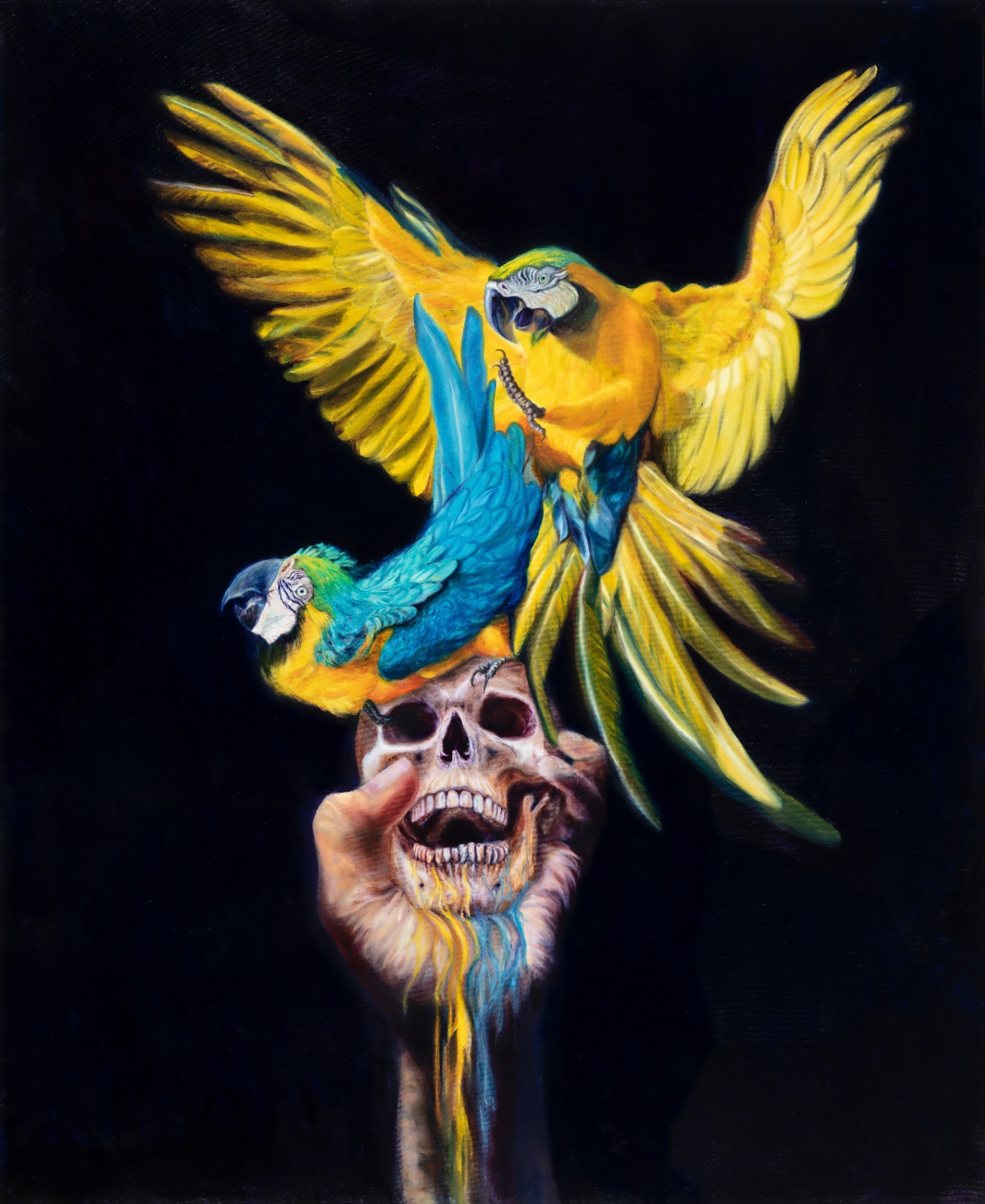 Vanitas