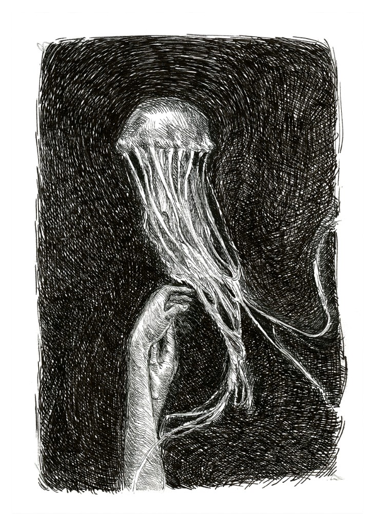 Medusa I