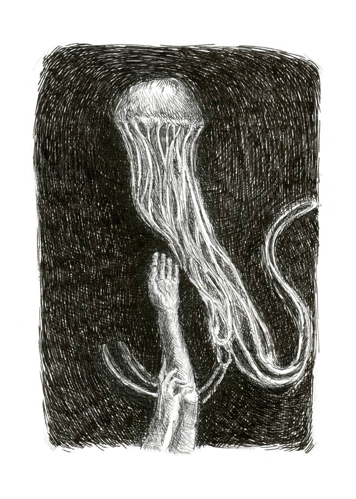 Medusa II