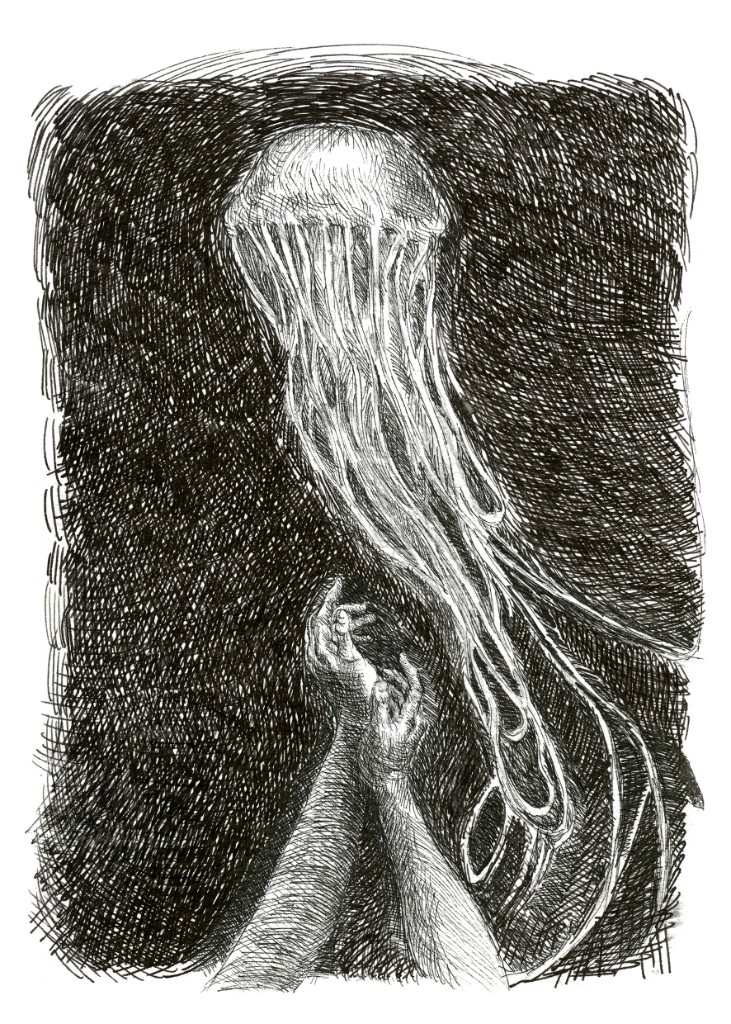 Medusa IV