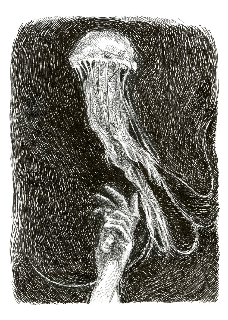 Medusa V